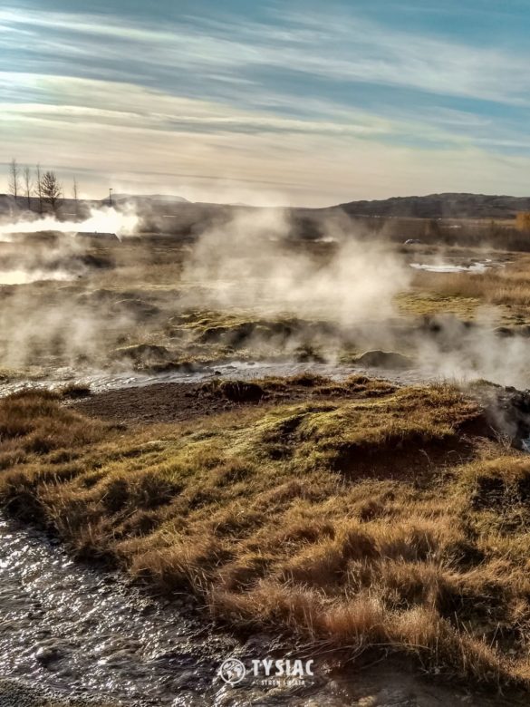 Pole geotermalne na Islandii